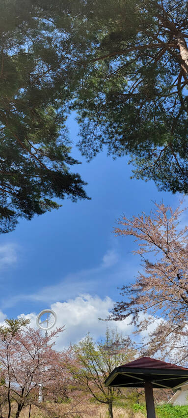 分岐点 vol.571