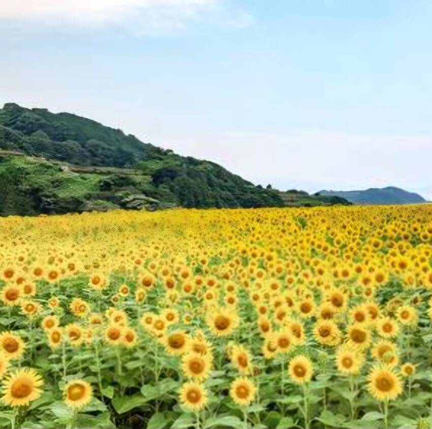 自分のために真剣にキャリアを考...