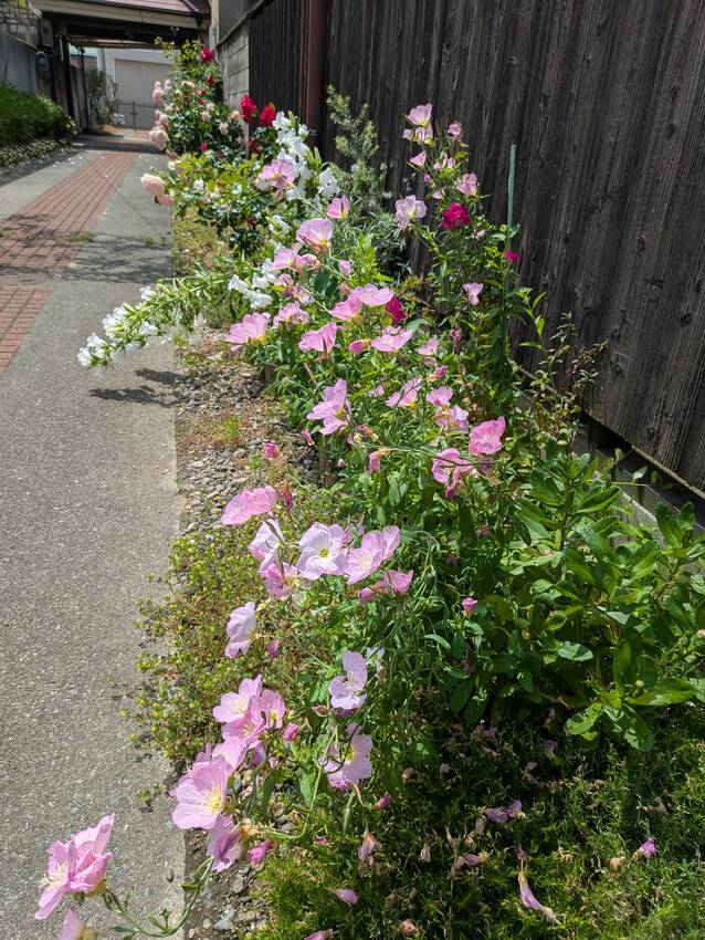 して良いよ