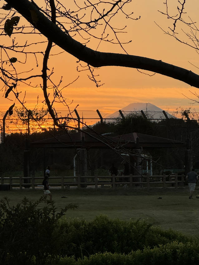 No.300 富士山が見える公...