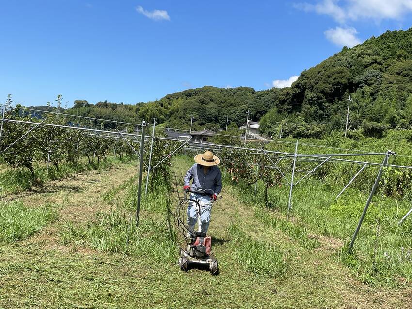 ☝️老人会で、草取り！