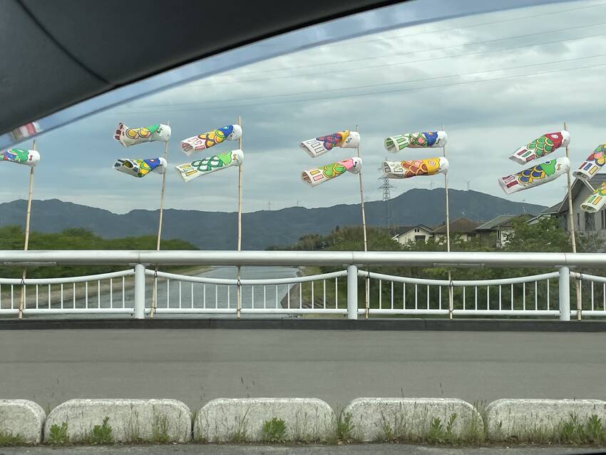 ☝️高く踊るや鯉のぼり