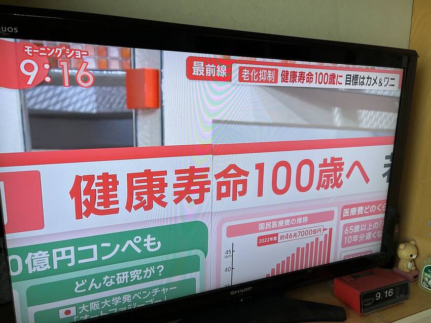 健康寿命１００歳へ