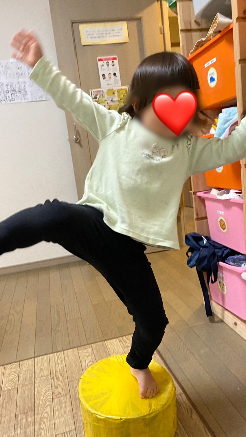 フラミンゴのポーズでバランス!