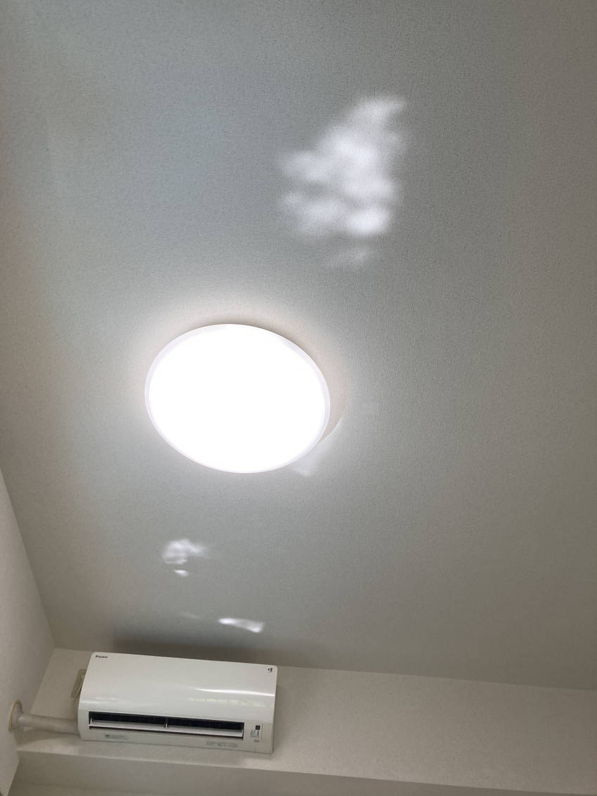 電気の周りにむにょむにょ動く ...