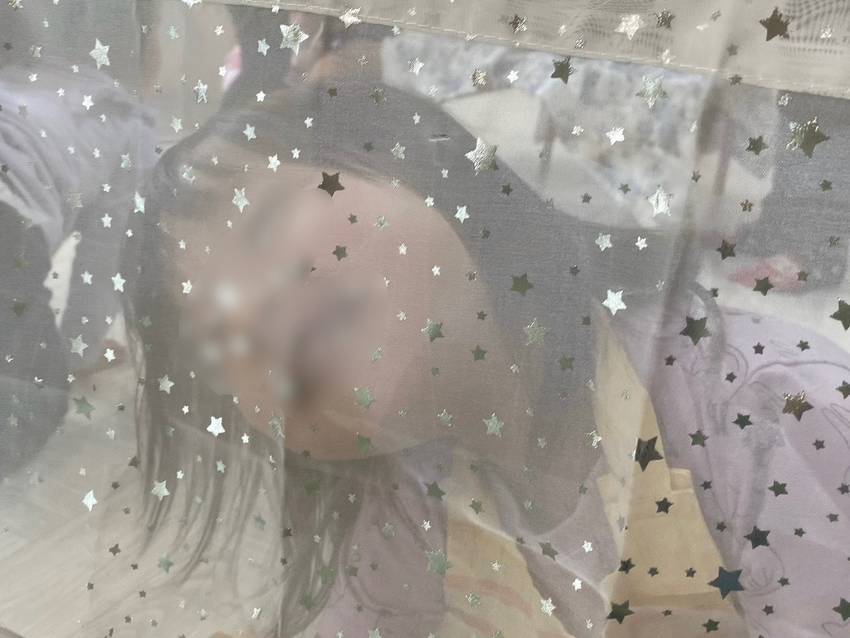 キラキラカーテン越しに覗く🐳ち...