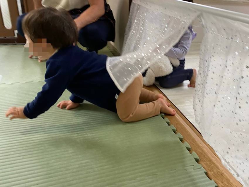 キラキラカーテンを高速ハイハイ...