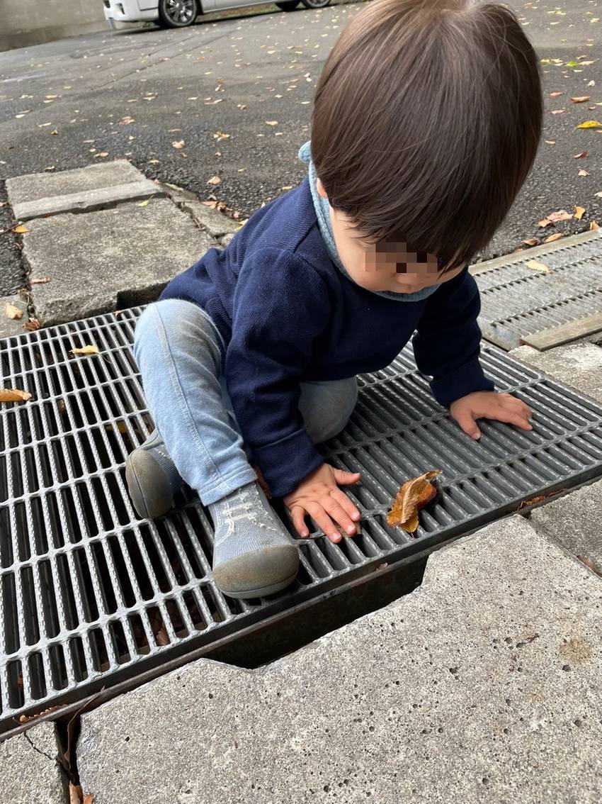 この隙間に葉っぱを入れたいんだ...