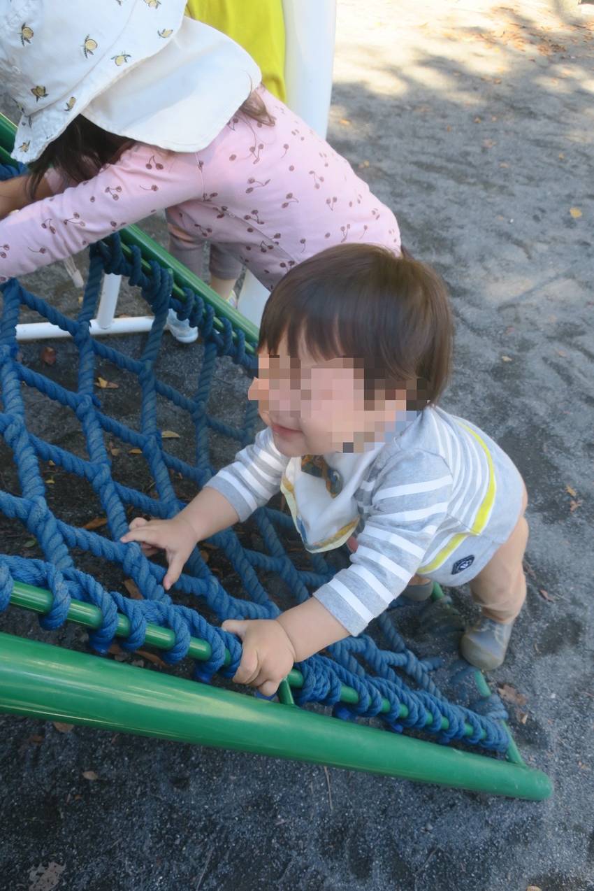 僕もここ行ってみよう!