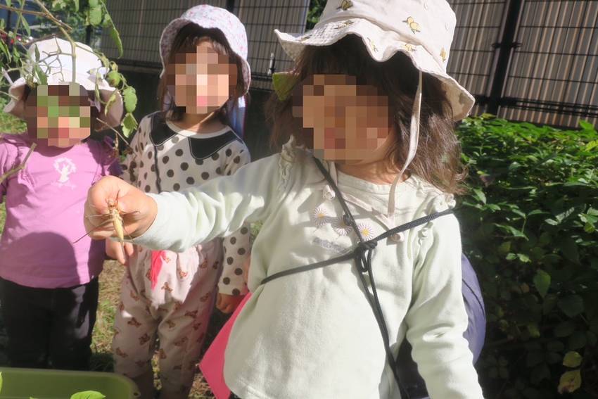 こちらは公園出発前のひとコマ ...