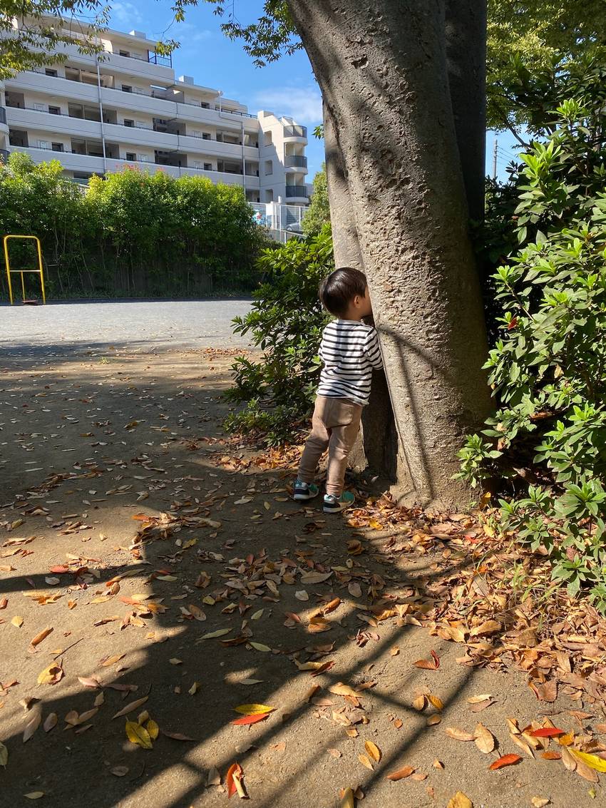 かくれんぼが始まると木に顔をく...