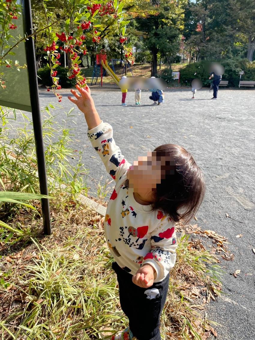 赤い実がたくさん! 届くかな?...
