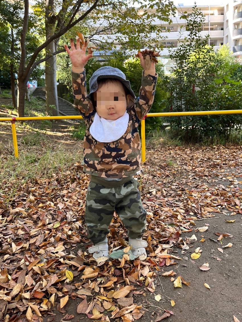 わぁーっ! 落ち葉のシャワー🍂...