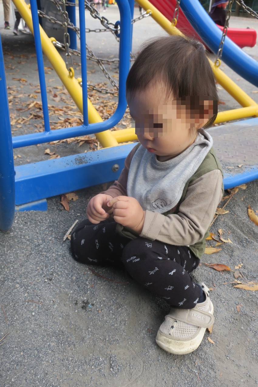 小さな枝 葉っぱ 砂 子どもた...