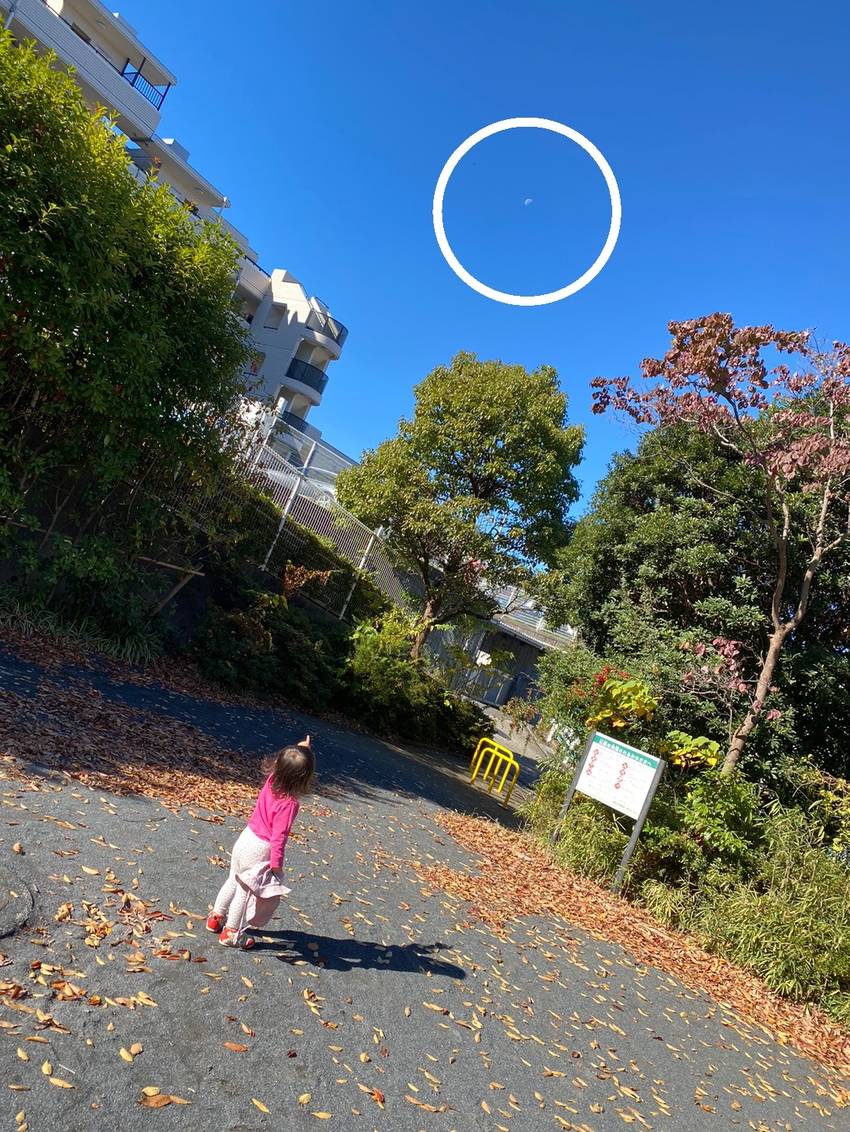 あ!おつきさまだ!みてみてー
