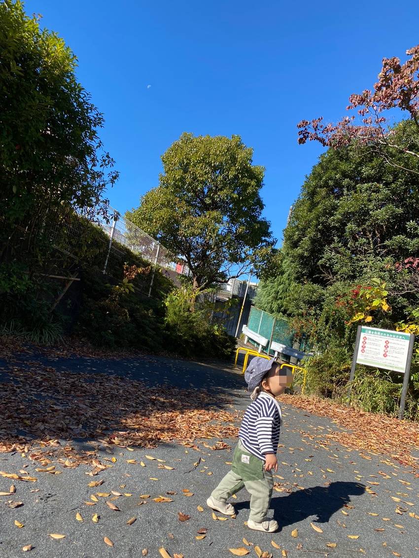 おつきさま?どこどこ?