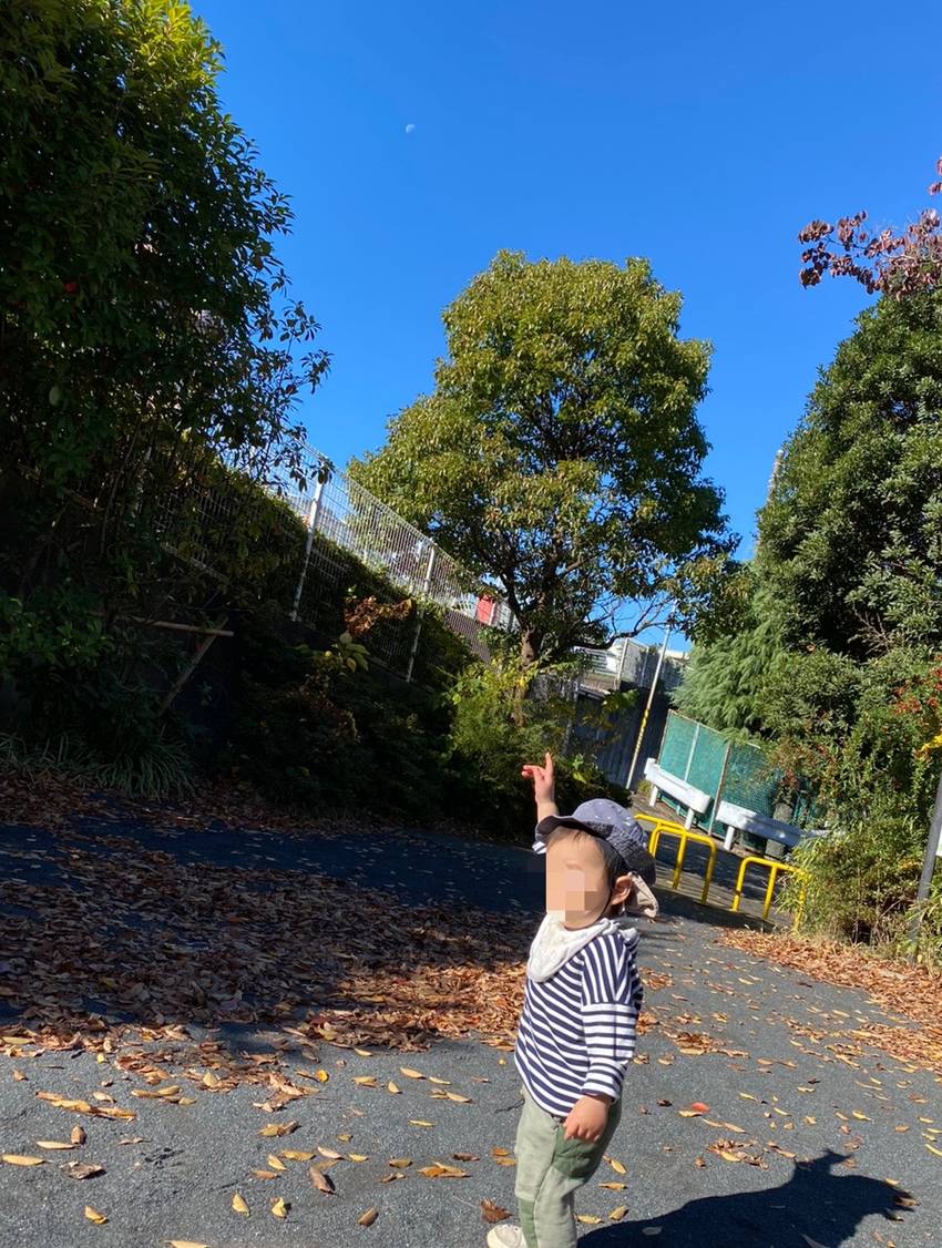 あ!あったー!