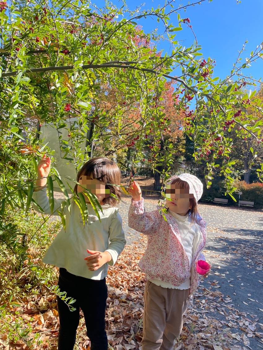 たくさん歩いていつもの公園へ着...