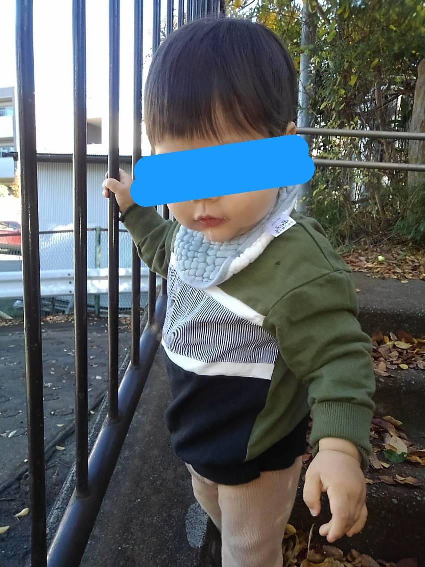 階段上り下り大好き🐘くん 上手...