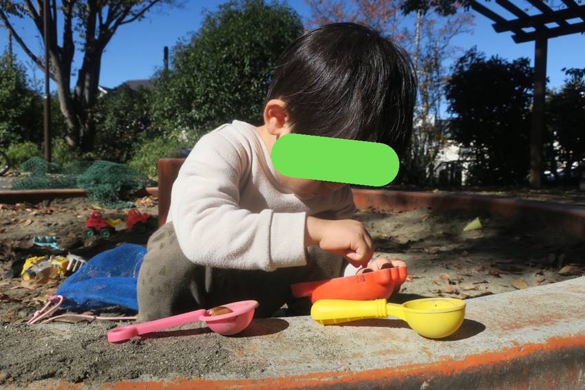 小さな木の実をお皿に入れて…