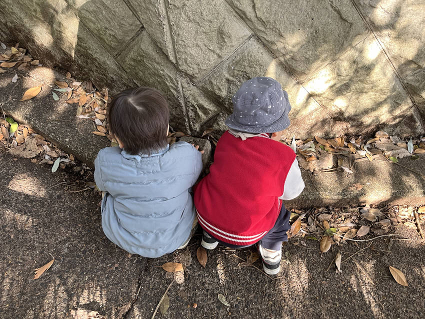 2人でどんぐり探し、仲良いなー
