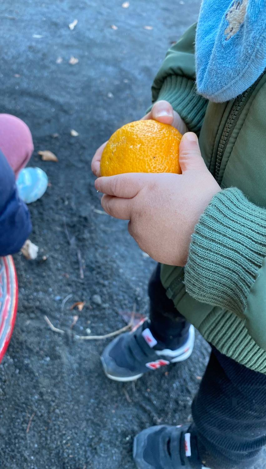 みかん🍊を見つけた🐶くん