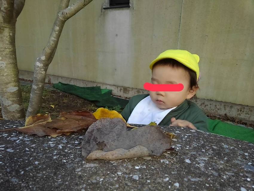最後は落ち葉をたくさん拾ったよ...