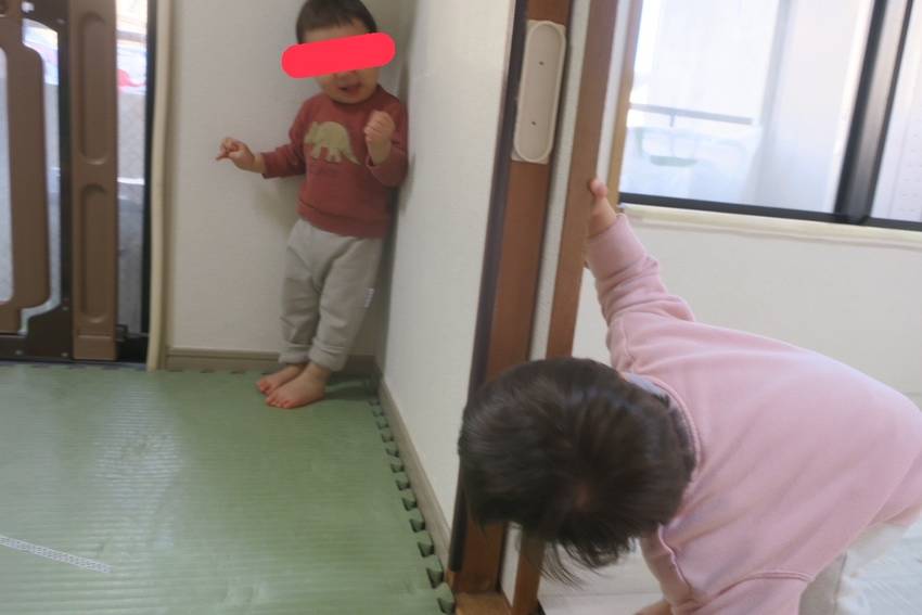 ばあ! 🐘くんが覗き込む先には...