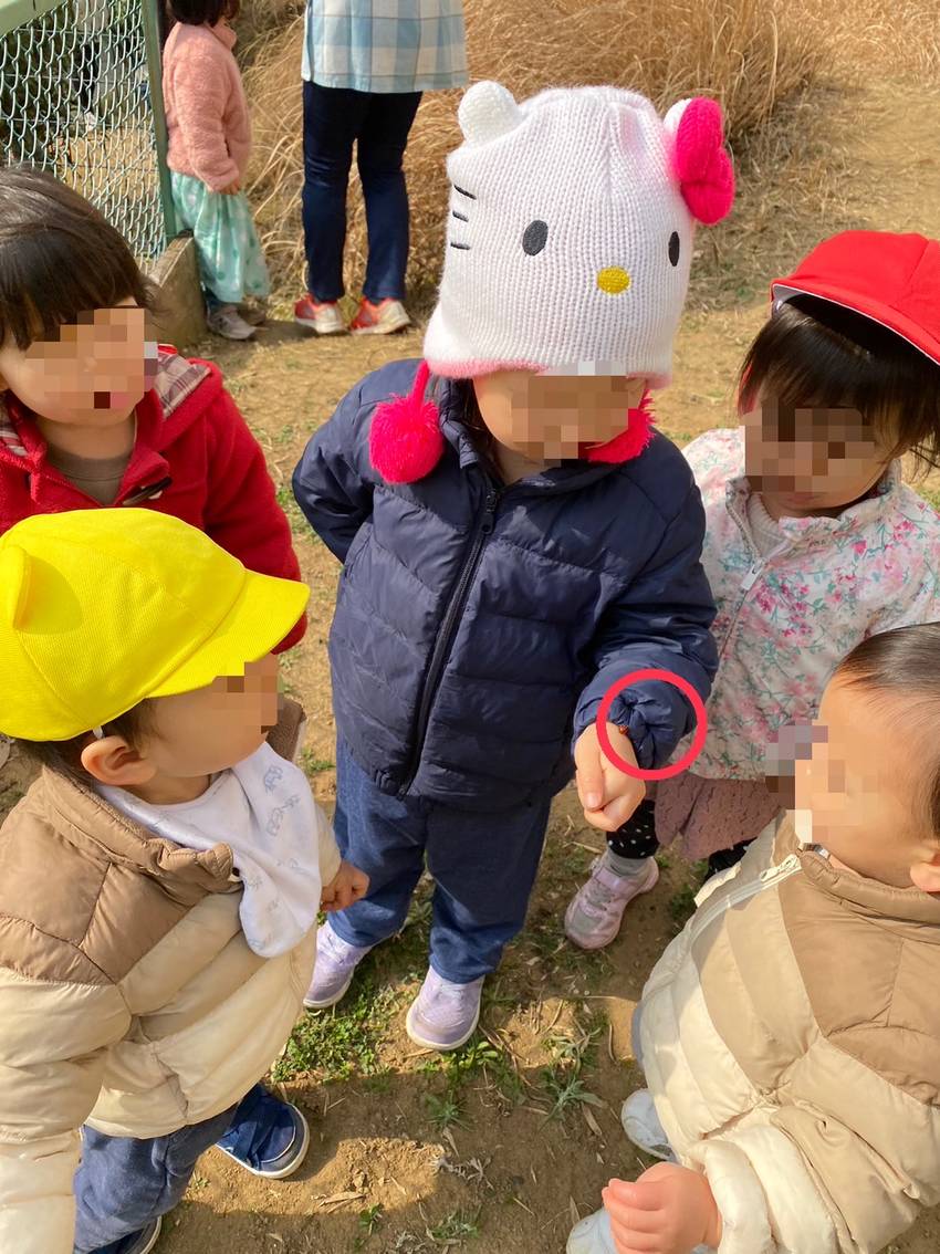 てんとう虫に興味津々🐞