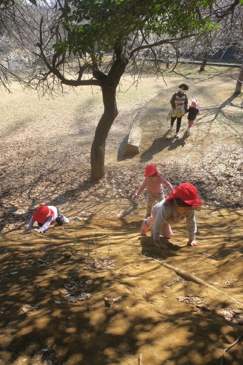 山登りに挑戦‼︎ 自分の力で頑...