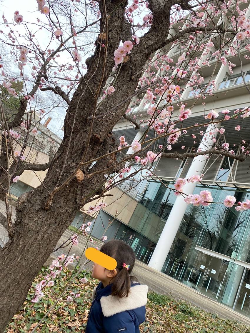 匂いするかな?