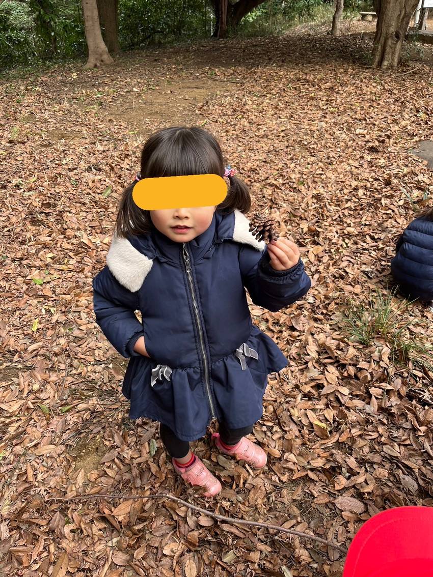 まつぼっくりみっけ!