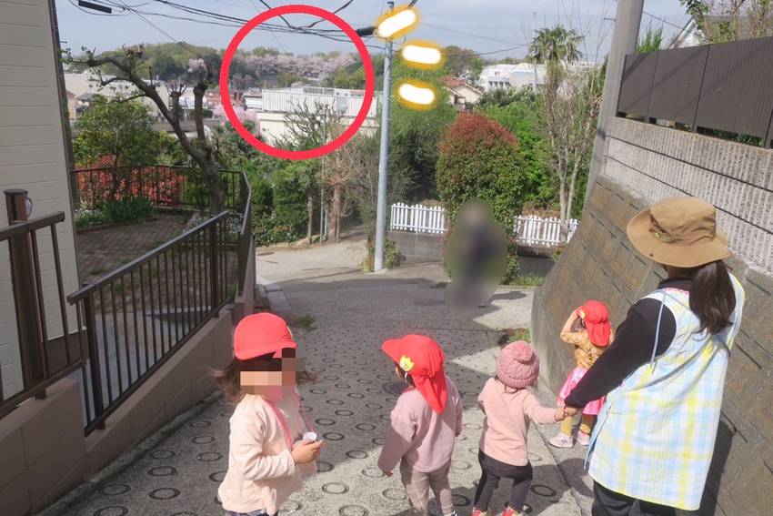 この前行った公園の桜が よく見...