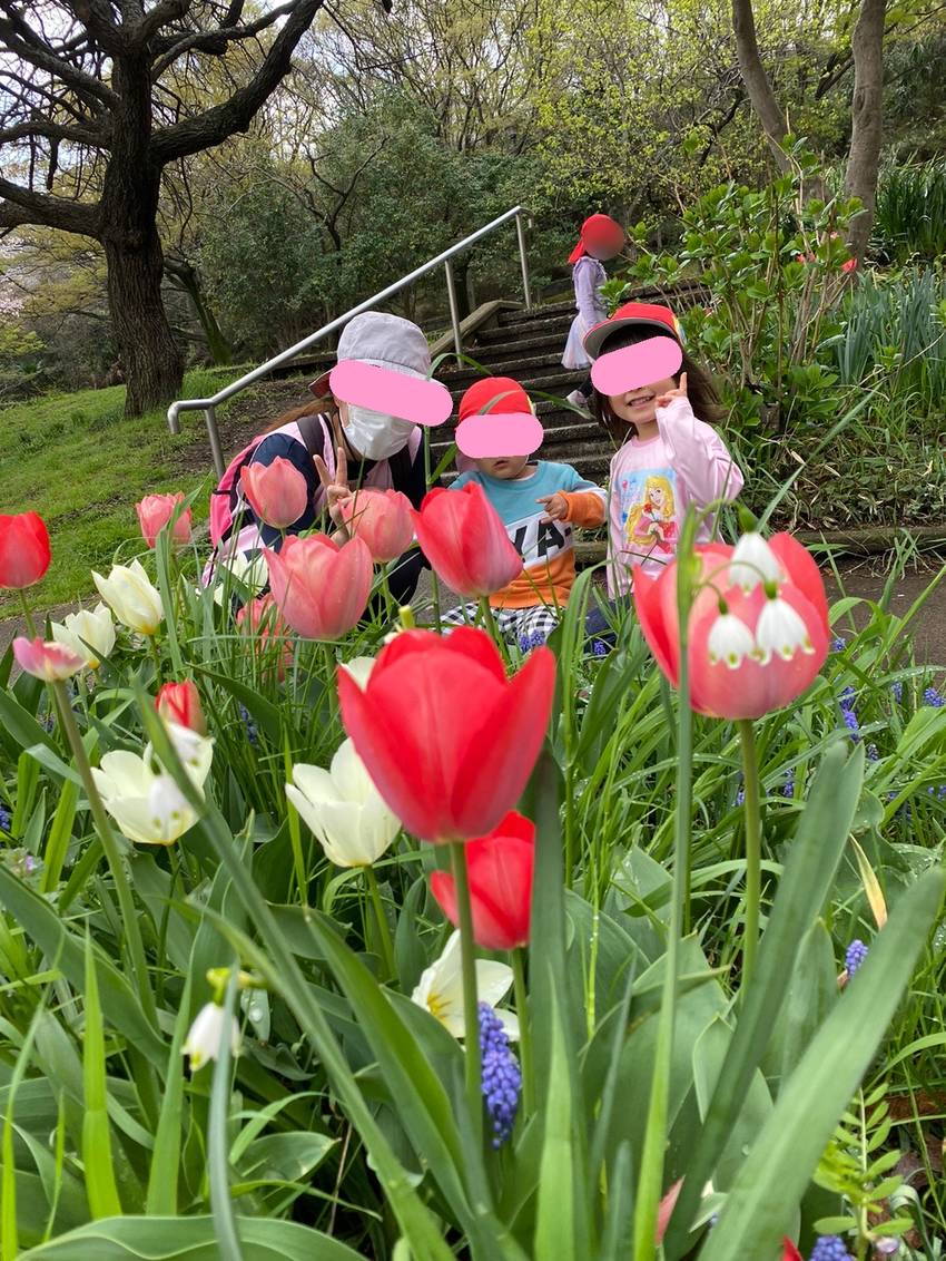 花壇に咲く色とりどりの花と📷 ...