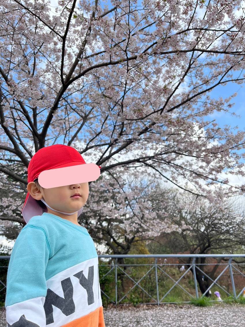 青空と桜、映えますね〜