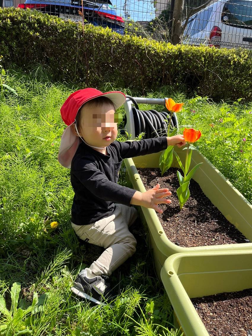 チューリップ探しに🌷 「あっ!...