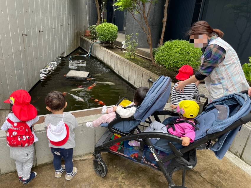鯉がたくさん泳いでるね🎏 こい...