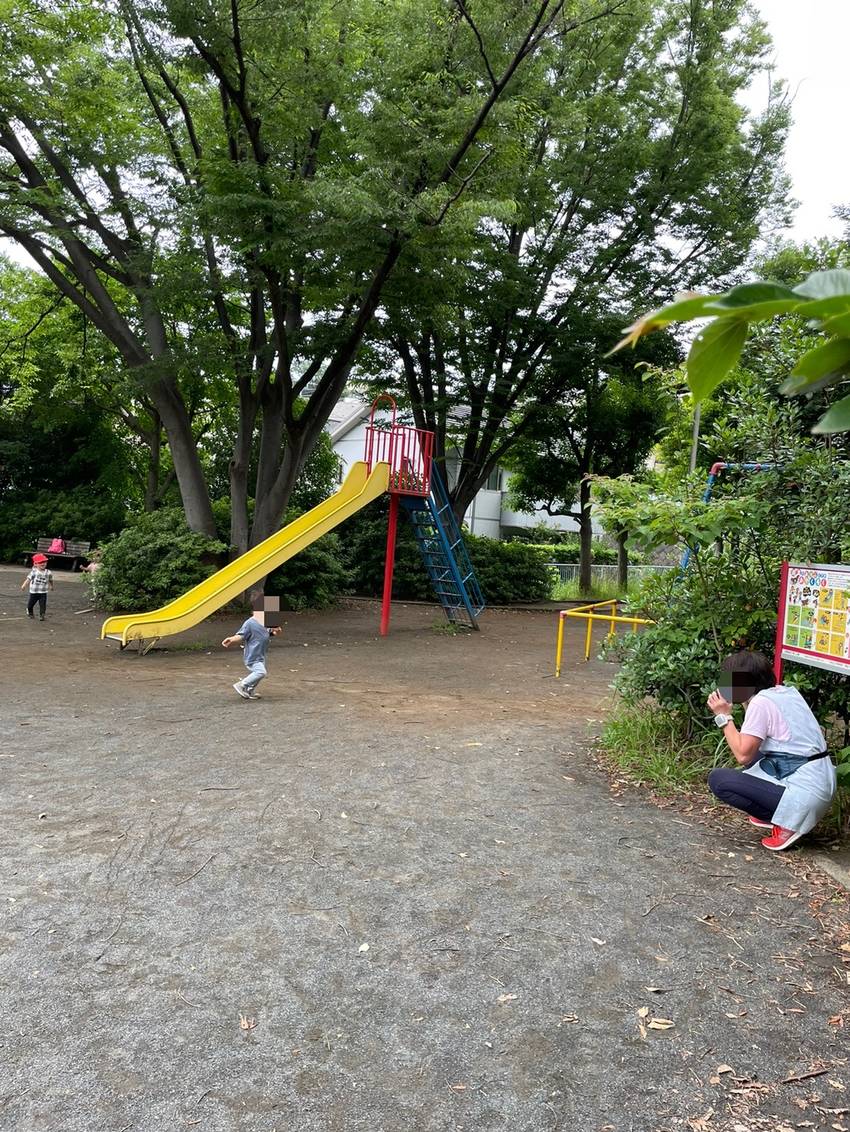 保育者が隠れてかくれんぼ みー...