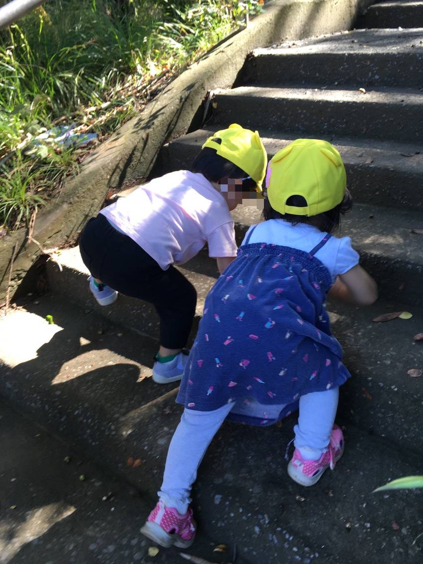 階段も上手に登れるようになりま...