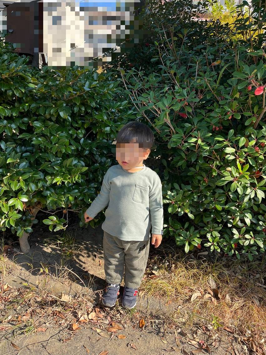 木の間から🐘くんが出てきました...