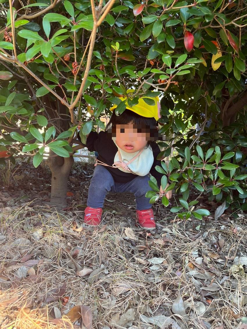 もそもそっと木が揺れていたので...