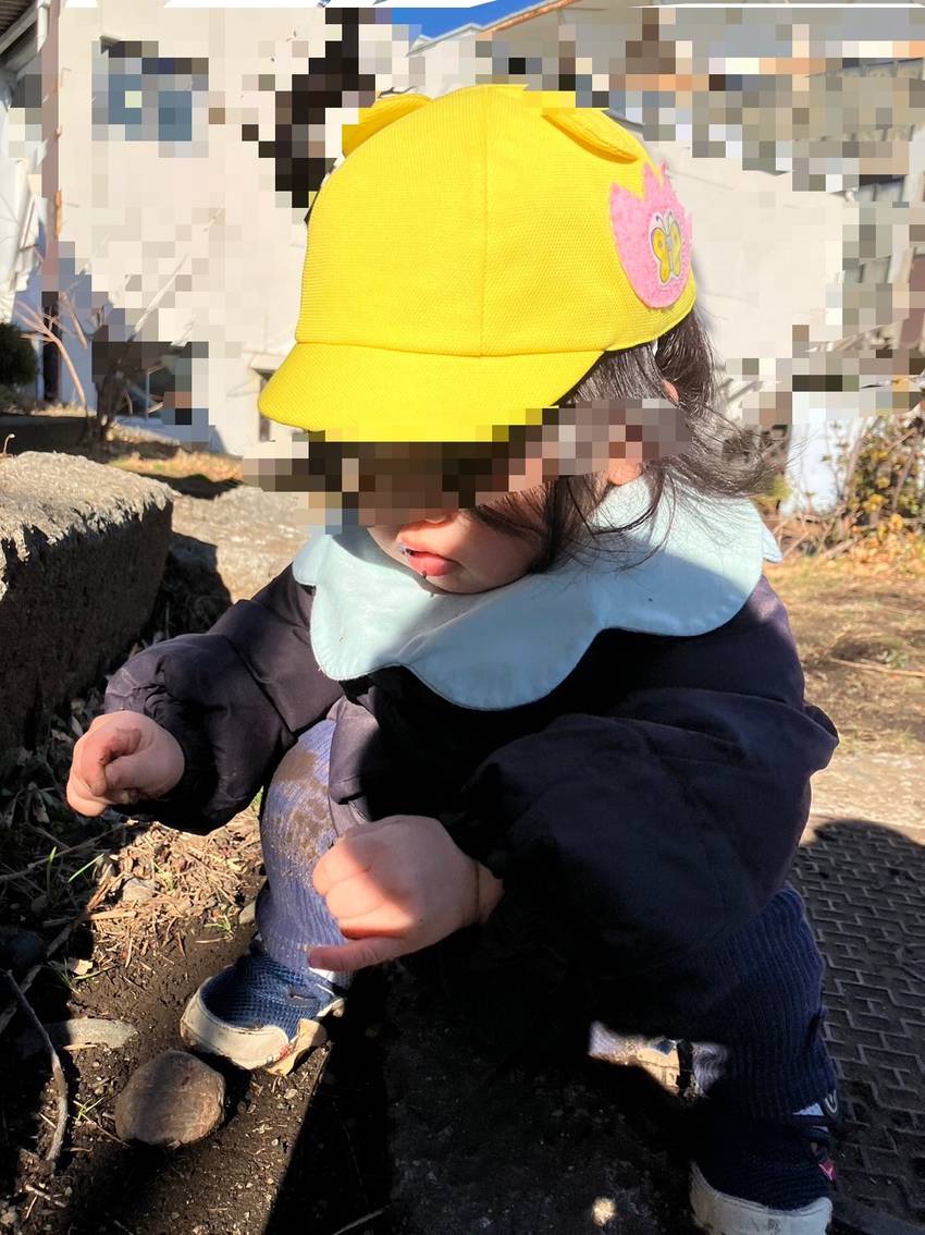 石や落ち葉を見つけていた🦋ちゃ...