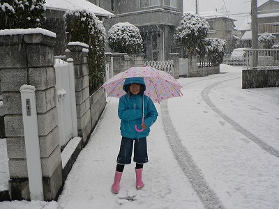 雪やこんこ