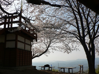 鐘撞堂山の桜も満開