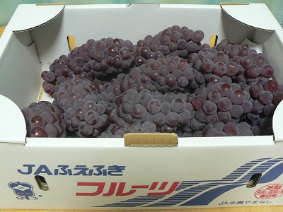 フルーツ王国やまなしから届いた...