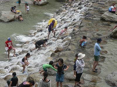 沢登りっていうほどではありませ...