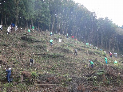 雨の中の男衾自然公園桜植樹祭