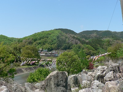神流川水辺公園の鯉のぼりスイス...