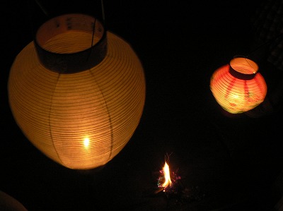 また来年きてください