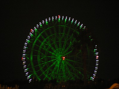 緑にライトアップ☆葛西臨海公園...